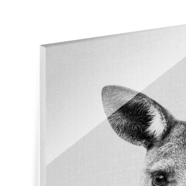 Tableaux en verre magnétique Kangourou Knut Noir et Blanc