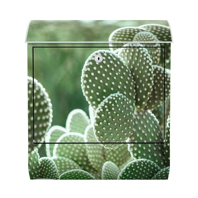 Boite aux lettres verte Cactus