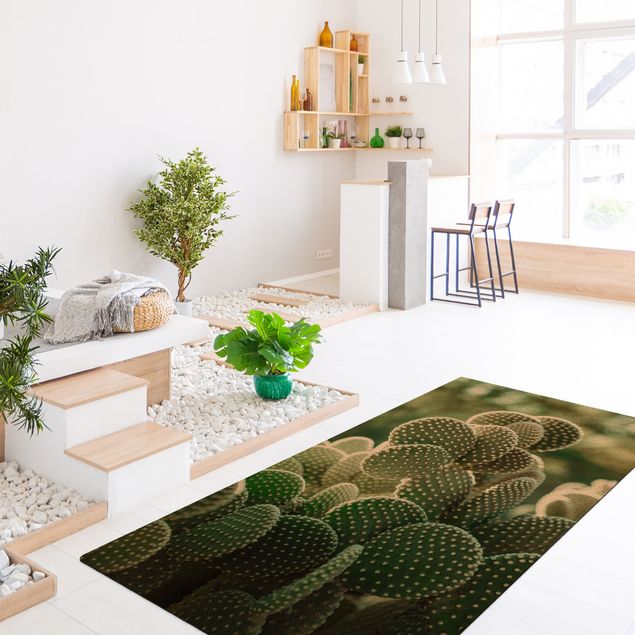 tapis contemporain Cactus