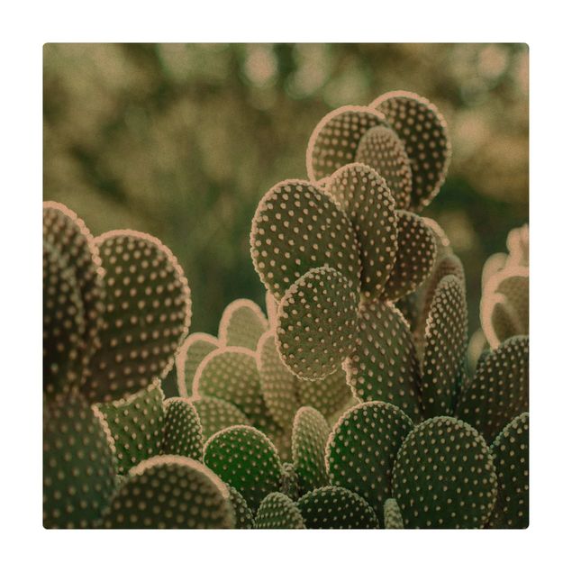 tapis grande taille Cactus