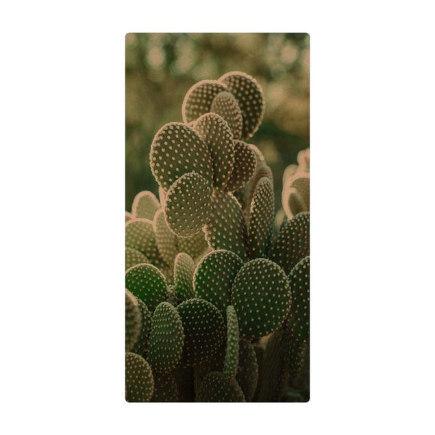 tapis salle à manger facile à nettoyer Cactus