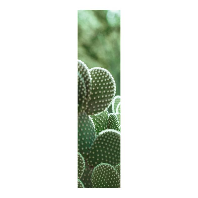 Panneaux coulissants avec fleurs Cactus