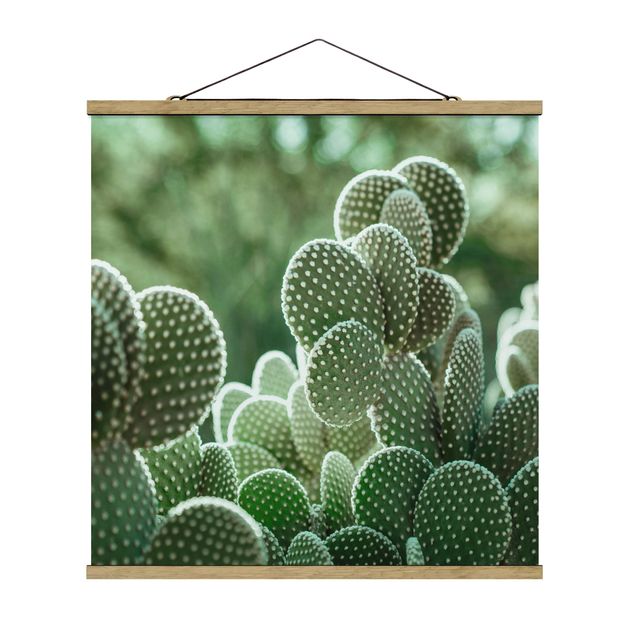 Tableau floral Cactus