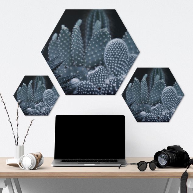 Hexagone en alu Dibond - Familiy Of Cacti At Night