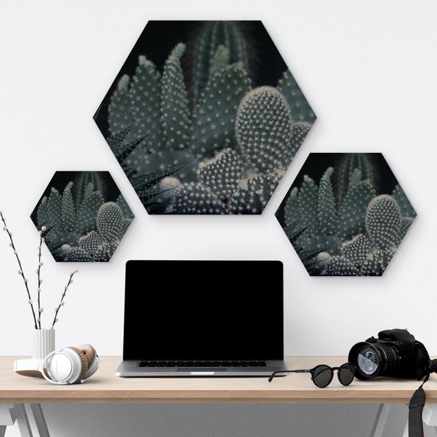 Hexagone en bois - Familiy Of Cacti At Night
