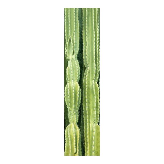 Panneaux coulissants avec fleurs Mur de cactus