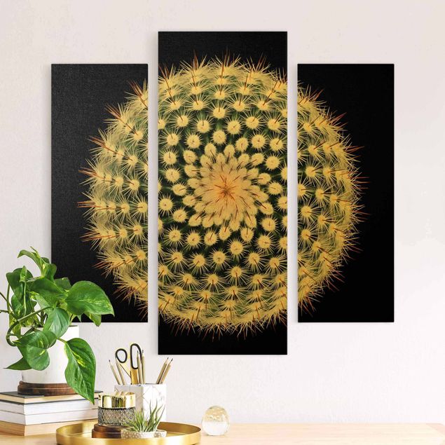Tableaux modernes Fleur de cactus
