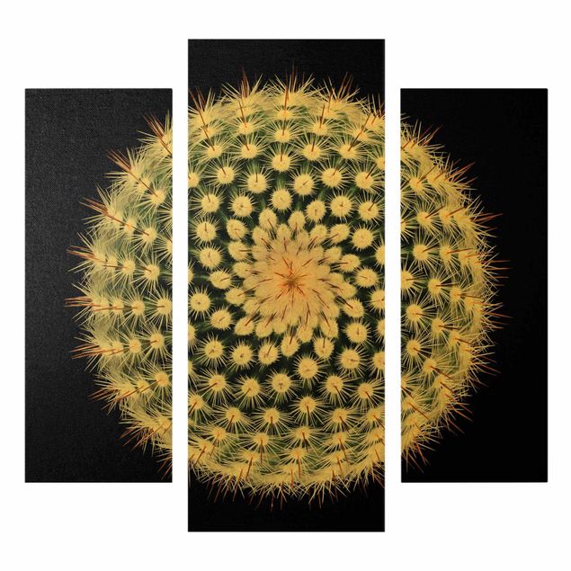 Tableaux Fleur de cactus