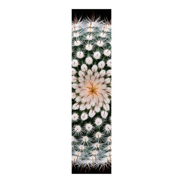 Panneaux coulissants avec fleurs Fleur de cactus