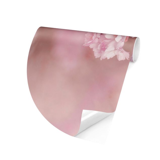 papier peint xxl Fleurs de cerisier dans une lumière violette