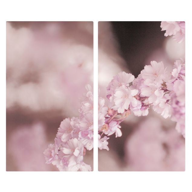 Cache plaques de cuisson - Cherry Blossoms In Purple Light
