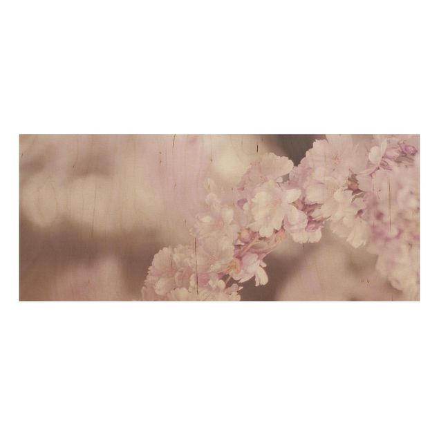 Tableaux en bois avec fleurs Fleurs de cerisier dans une lumière violette