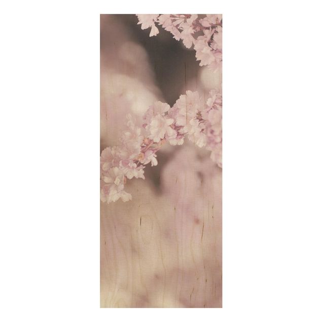 Tableaux en bois avec fleurs Fleurs de cerisier dans une lumière violette