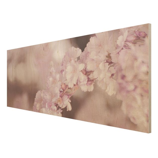 Tableaux Fleurs de cerisier dans une lumière violette