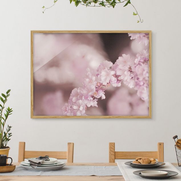 Déco mur cuisine Fleurs de cerisier dans une lumière violette