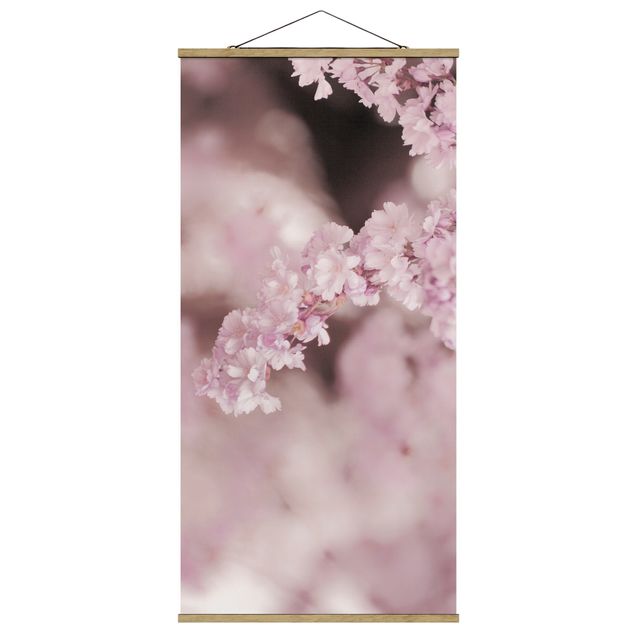 Tableau floral Fleurs de cerisier dans une lumière violette