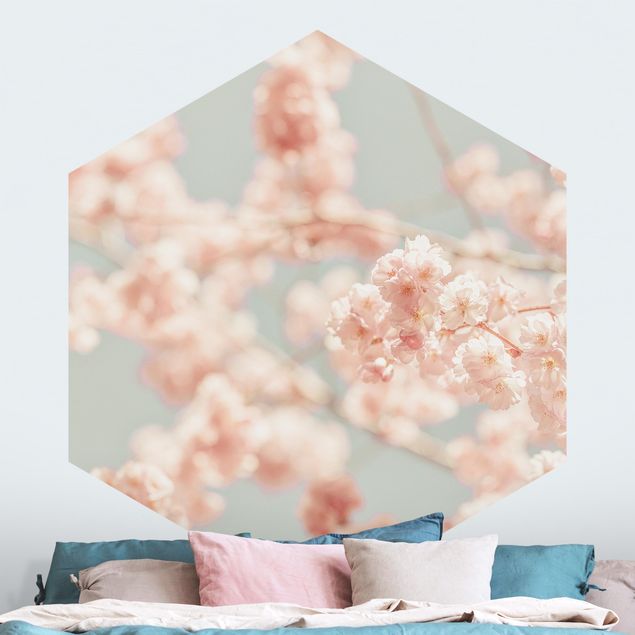Papiers peints modernes Cherry Blossom Glow