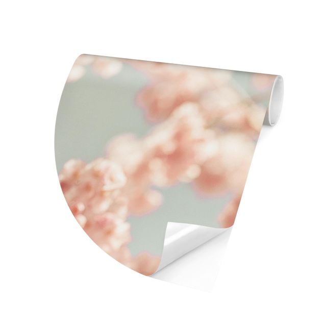 Papier peint fleurs Cherry Blossom Glow