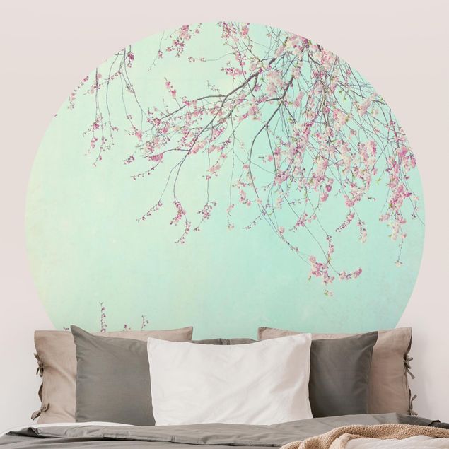Papier peint moderne Aspiration d'une fleur de cerisier