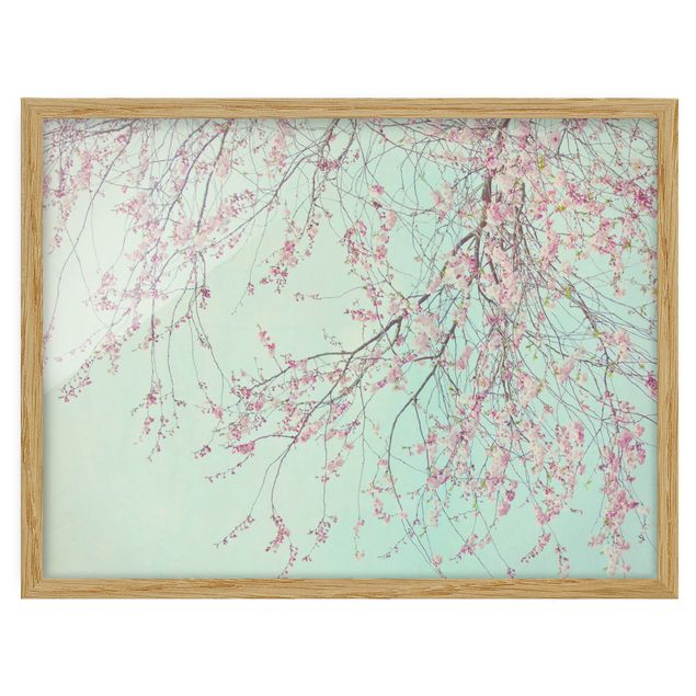 tableaux floraux Aspiration d'une fleur de cerisier