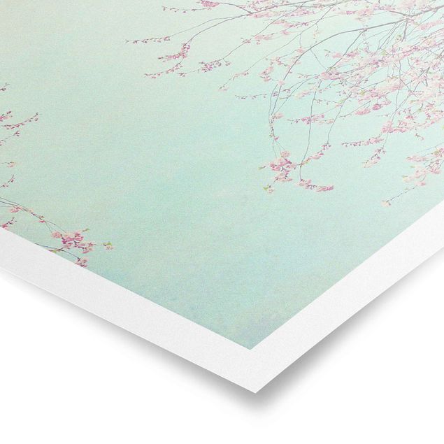 Tableau turquoise Aspiration d'une fleur de cerisier
