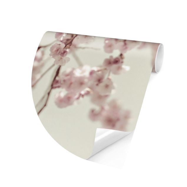 tapisserie panoramique Fleurs de cerisier dansantes