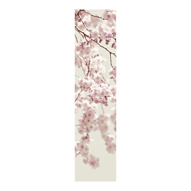 Panneaux coulissants avec fleurs Fleurs de cerisier dansantes