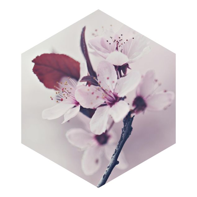 papier peint xxl Branche de fleurs de cerisier en rose antique