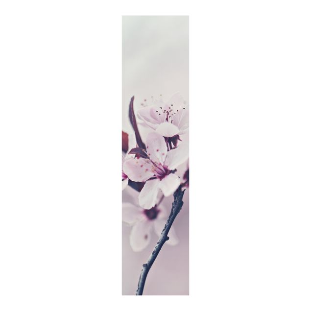 Panneaux coulissants avec fleurs Branche de fleurs de cerisier en rose antique