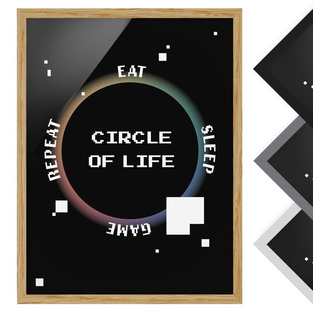 Posters encadrés Classical Video Game Circle Of Life