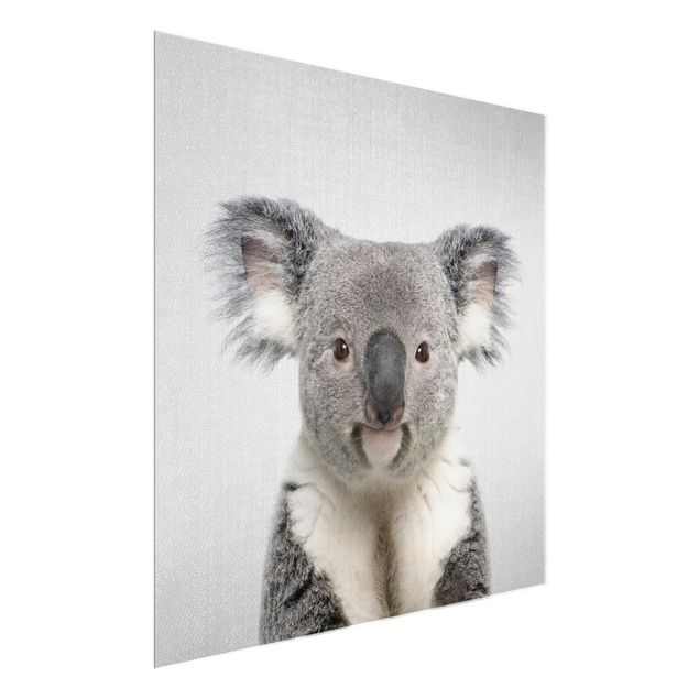 Tableau animaux Koala Klaus