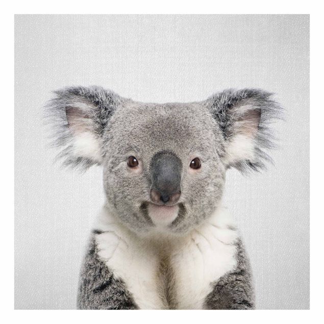 Tableaux noir et blanc Koala Klaus