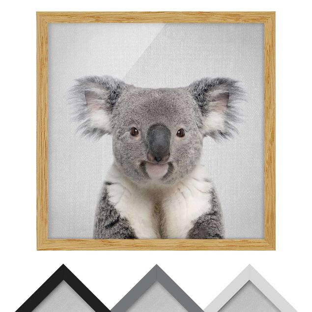 Tableaux Koala Klaus
