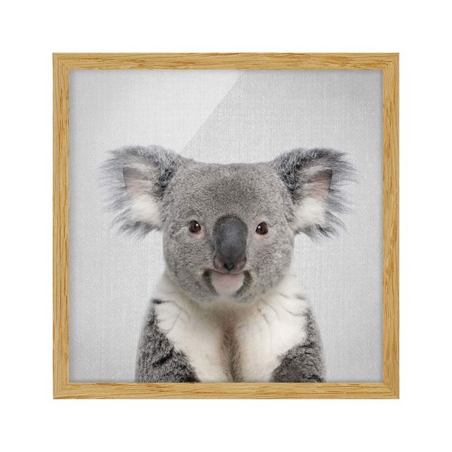 Tableaux modernes Koala Klaus