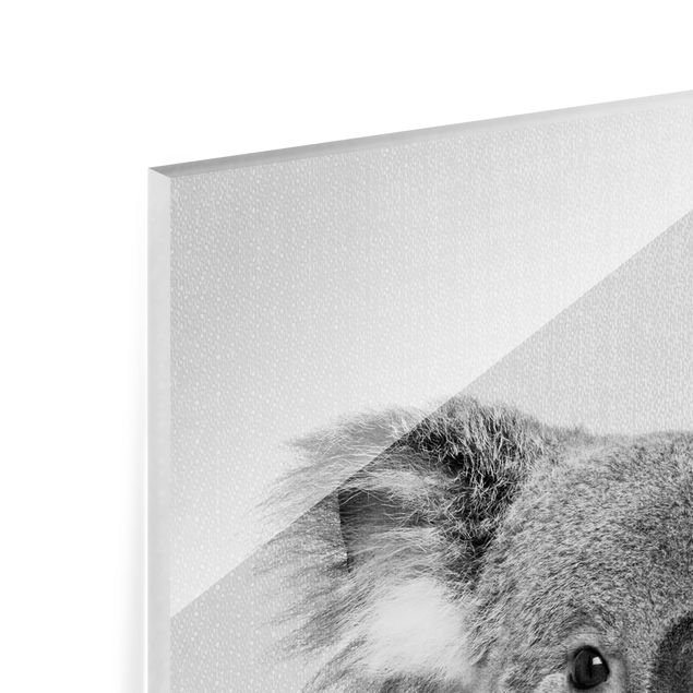 Tableaux en verre magnétique Koala Klaus Noir et Blanc