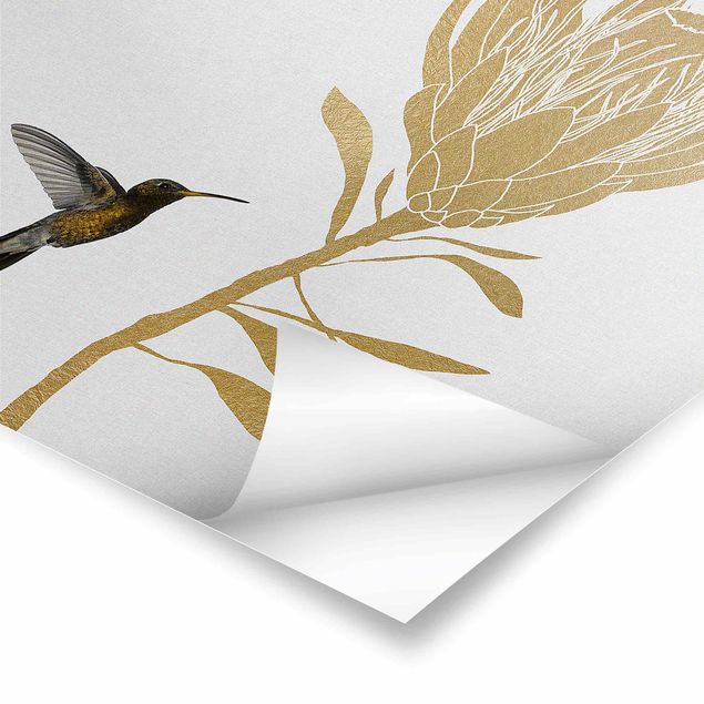 Poster - Hummingbird And Tropical Golden Blossom