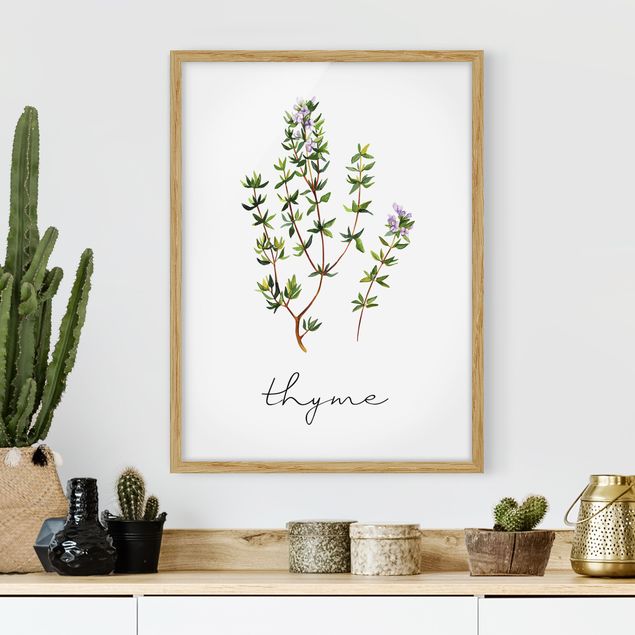 Tableaux encadrés fleurs Illustration d'herbes aromatiques Thym