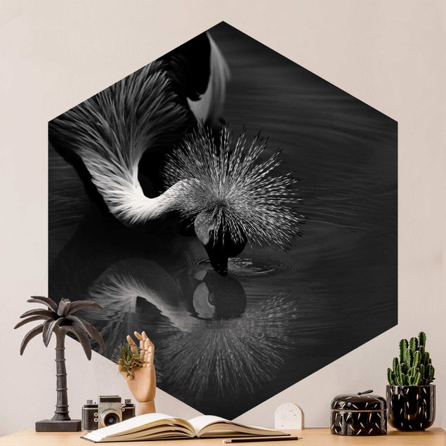 Papier peint oiseaux Grue couronnée devant un arc noir et blanc