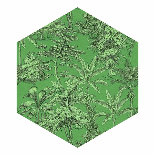 Papier peint panoramique Impression de Gravure sur Cuivre - Palmiers Tropicaux en Vert
