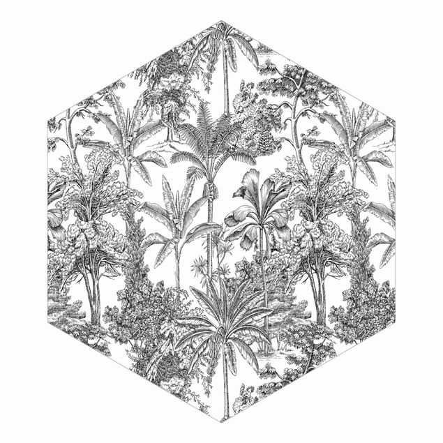 Papier peint panoramique Impression de Gravure sur Cuivre - Palmiers Tropicaux