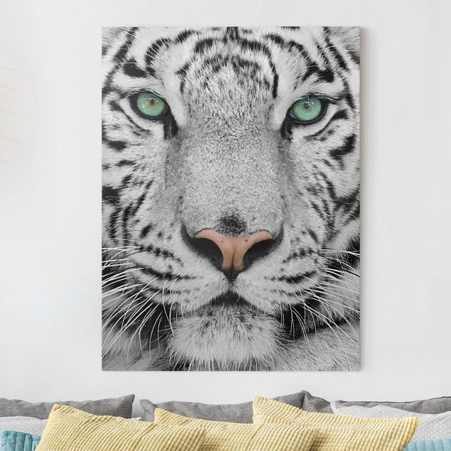 Impression sur toile - White Tiger