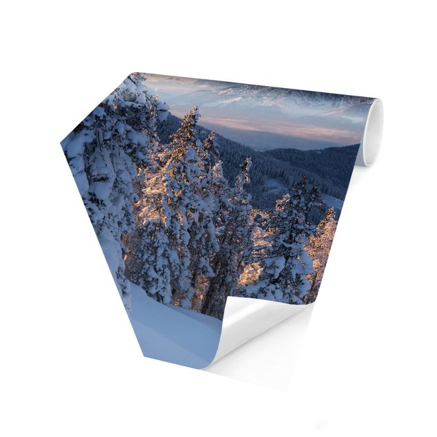 Papiers peintspanoramique hexagonal Montagnes Leogang Autriche