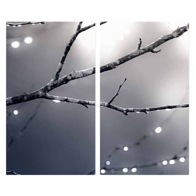 Cache plaques de cuisson - Drops Of Light On A Branch Of A Birch Tree