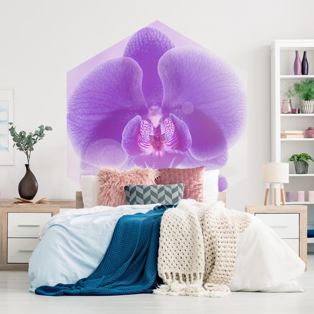 Tapisserie moderne Orchidée violette sur l'eau