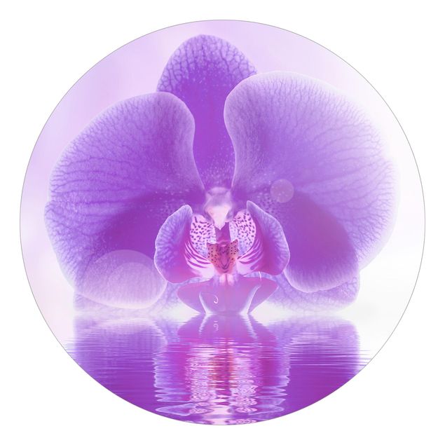 Papier peint fleurs Orchidée violette sur l'eau