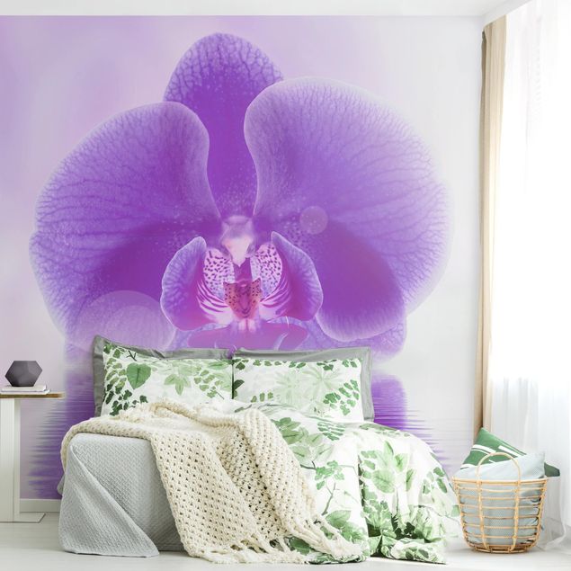 Papier peint orchidées Orchidée violette sur l'eau