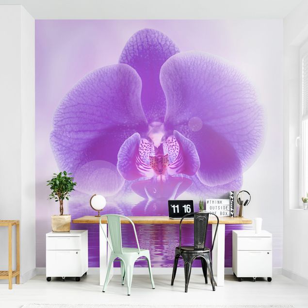 Papier peint fleurs Orchidée violette sur l'eau