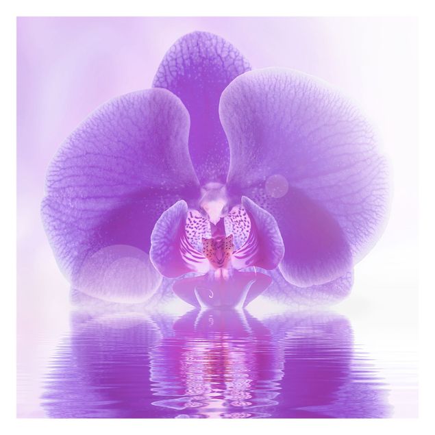Papier peint - Purple Orchid On Water