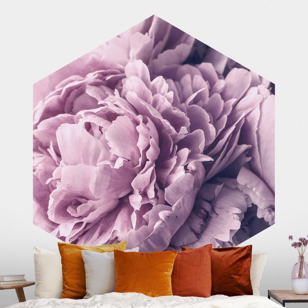 Papier peint roses Fleurs de pivoines violettes