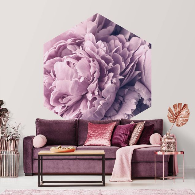 Papier peint moderne Fleurs de pivoines violettes